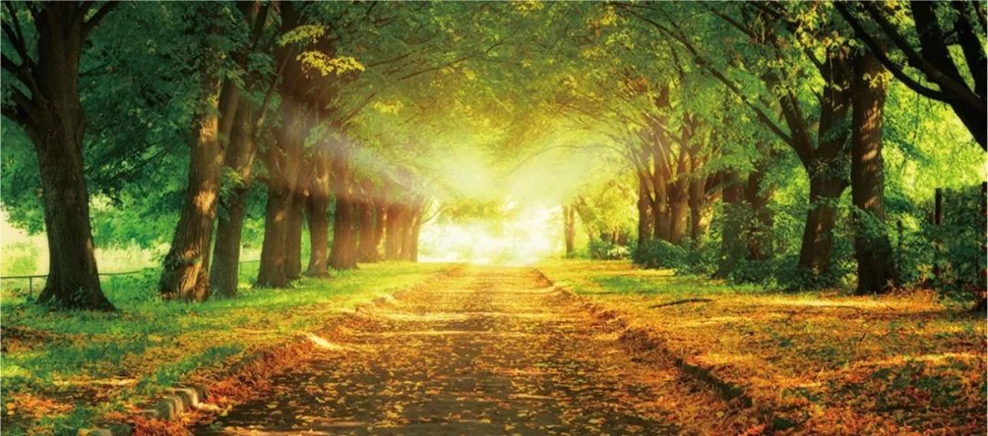 校園大道商學院品牌營銷全案