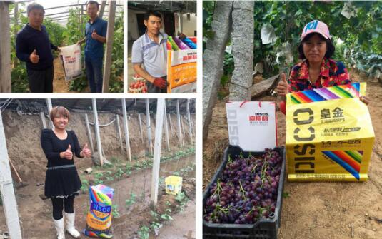 迪斯科榮獲“國肥價(jià)值品牌” 董事長陳家輝釋放品牌戰(zhàn)略新信息