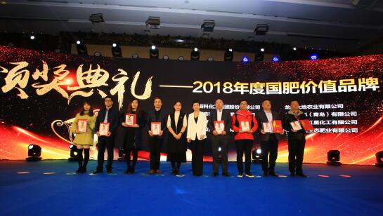 迪斯科榮獲“國肥價(jià)值品牌” 董事長陳家輝釋放品牌戰(zhàn)略新信息