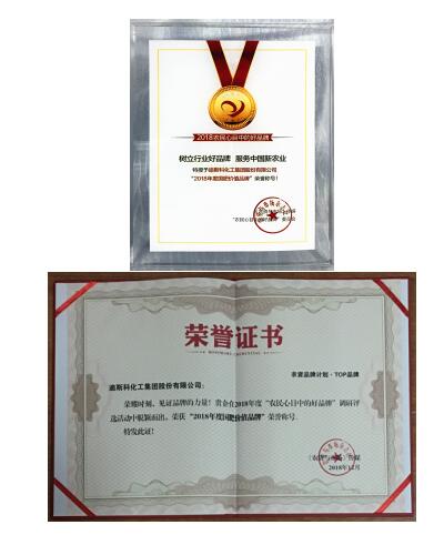 迪斯科榮獲“國肥價(jià)值品牌” 董事長陳家輝釋放品牌戰(zhàn)略新信息