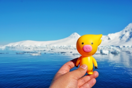 彈個車、飛豬聯合洽洽創新品牌營銷 用“免費南極游”撬動年輕消費市場