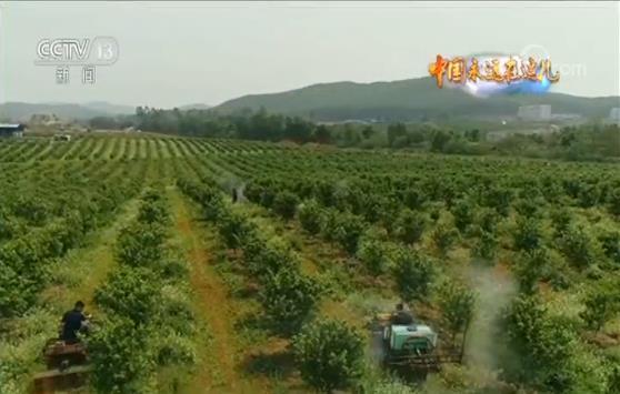 玩轉(zhuǎn)農(nóng)業(yè)新科技 農(nóng)民職業(yè)大變身 今年三農(nóng)有點“潮”