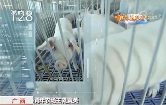 玩轉(zhuǎn)農(nóng)業(yè)新科技 農(nóng)民職業(yè)大變身 今年三農(nóng)有點“潮”