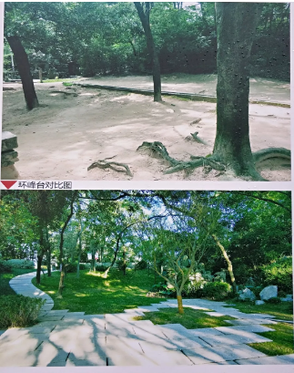 屏山公園熱鬧開園！重裝迎客的ta美極了……