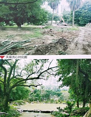 屏山公園熱鬧開園！重裝迎客的ta美極了……