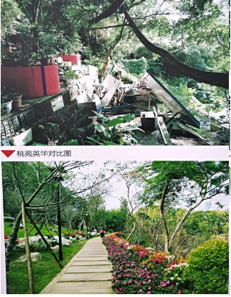 屏山公園熱鬧開園！重裝迎客的ta美極了……