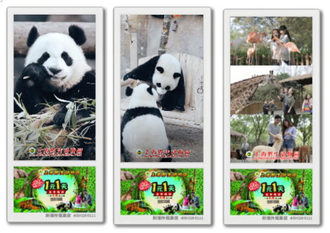 旅游市場持續升溫，新潮傳媒成旅游品牌營銷重要媒介