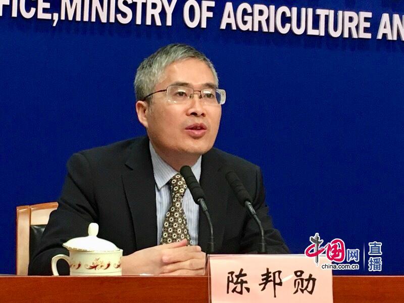 農(nóng)業(yè)農(nóng)村部市場與信息化司司長唐珂(中國網(wǎng) 宗超 攝影)