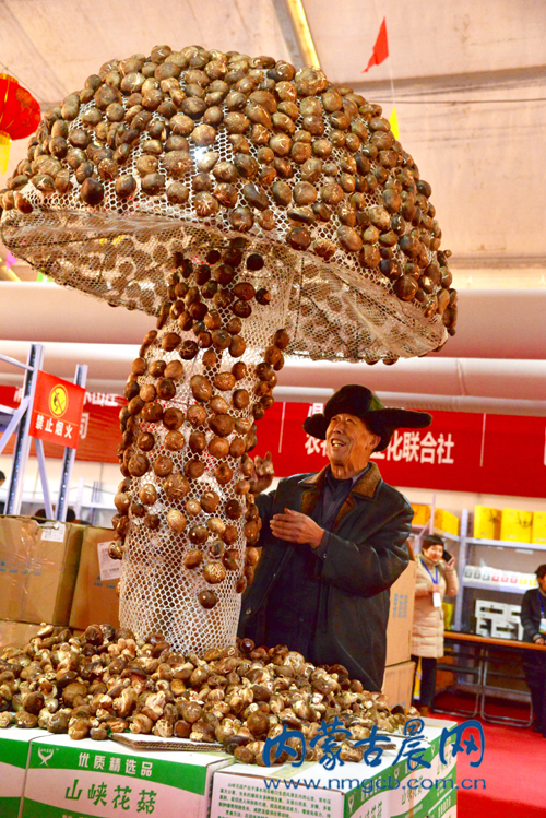 脫貧攻堅新舉措 清水河產品區域公共品牌“窯上田”發布