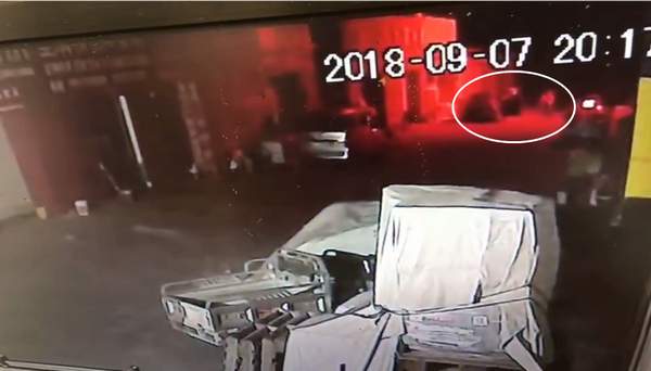 撿狗以盜竊被拘？監控視頻公布 男子:不能證明我偷