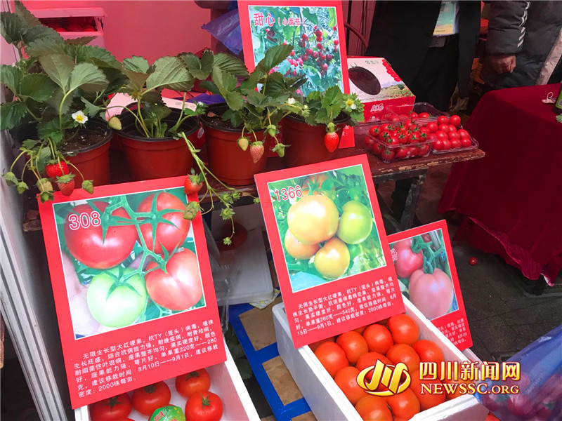 快來買年貨!第十屆四川省農(nóng)民合作社優(yōu)質(zhì)農(nóng)產(chǎn)品迎春大聯(lián)展舉辦