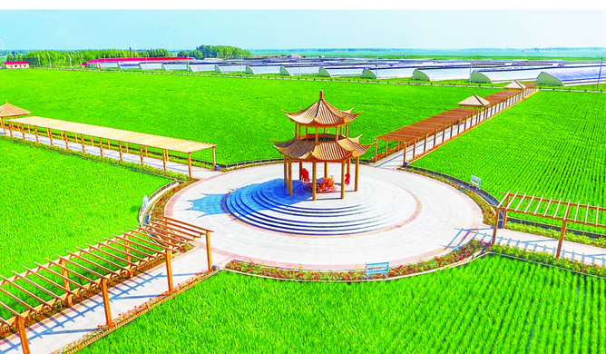 長(zhǎng)春：勇當(dāng)綠色有機(jī)農(nóng)業(yè)“探路者”