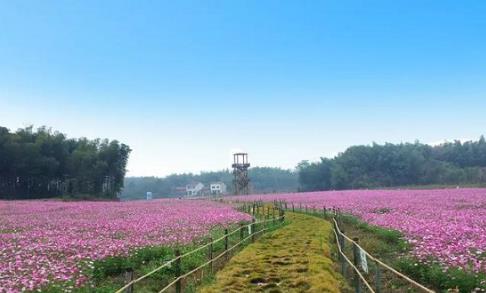 中國旅游新聞網：聚焦產業融合發展 湖北赤壁全域旅游特色凸顯