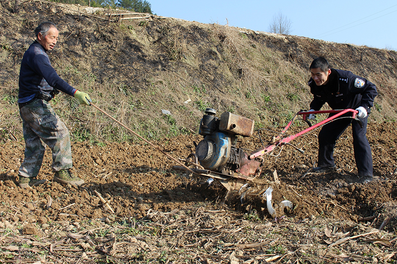 【脫貧攻堅在行動】南江百余民警放下“鋼槍”拿鋤頭 下到田間地頭開展主題黨日活動（圖）