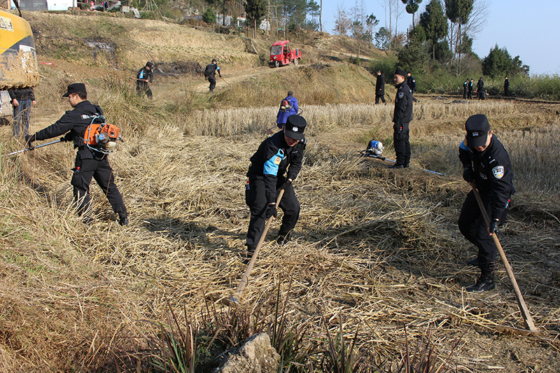 【脫貧攻堅在行動】南江百余民警放下“鋼槍”拿鋤頭 下到田間地頭開展主題黨日活動（圖）