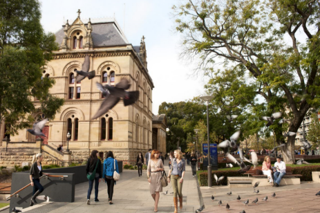 中國(guó)旅游新聞網(wǎng)：租租車新年活動(dòng)：南澳自駕盡享海岸美景及假日風(fēng)情