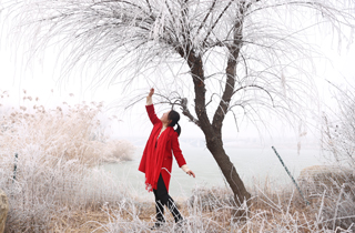 山西運城:出現罕見的霧凇景觀 城市變身冰雪王國