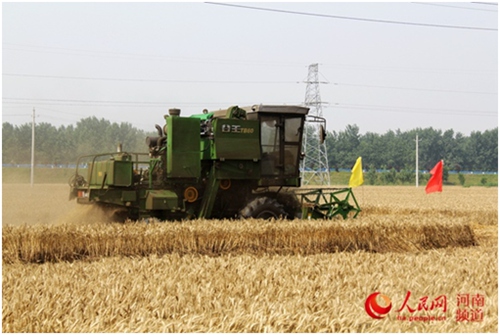 河南：如何從中原糧倉到國人廚房　　中原熟天下足。河南常年種小麥8000萬畝以上，產量占全國的1/4,與小麥相關的規模以上企業1700多家。然而，一個問題始終困擾河南，怎么既保糧食穩產，又促農民增收？……【詳細】
