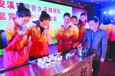 安溪鐵觀音“鐘意”福建女排