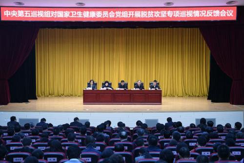 中央脫貧攻堅專項巡視反饋情況全部公布 發現哪些問題？