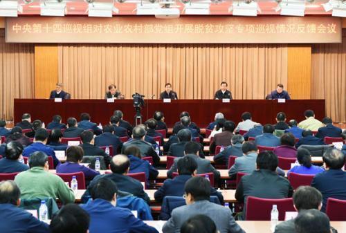 中央脫貧攻堅專項巡視反饋情況全部公布 發現哪些問題？