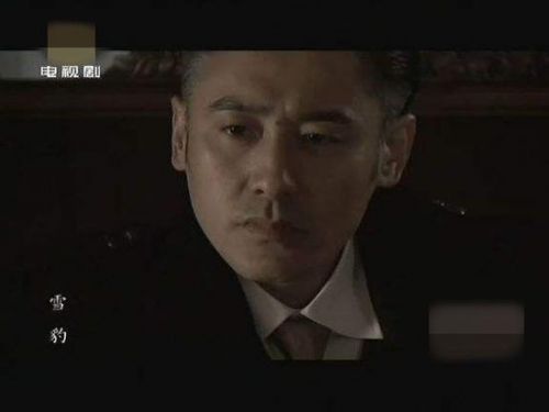 吳秀波受負面影響？《雪豹》重播他被從演員表除名