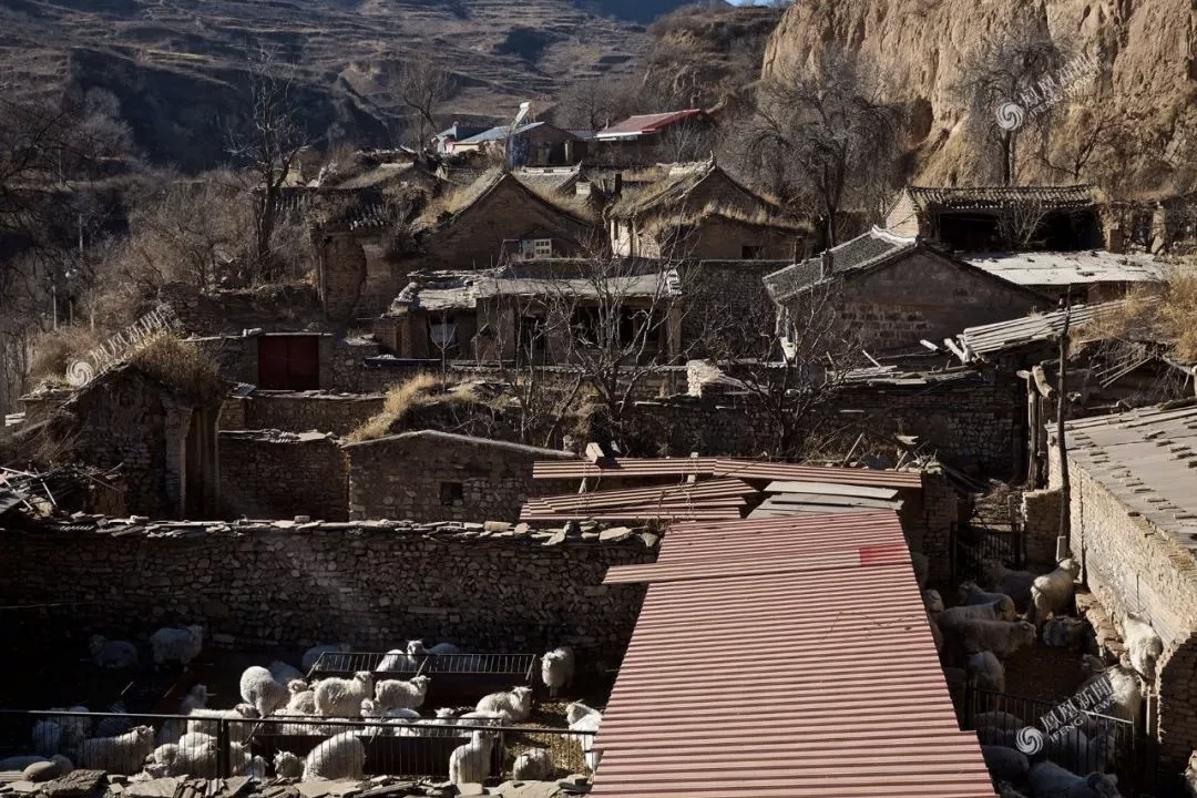 專訪《啥是佩奇》導演：為何選那位大爺？為何用鼓風機？