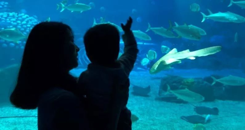 2018年旅游營銷TOP10起底大盤點（上）：景區篇