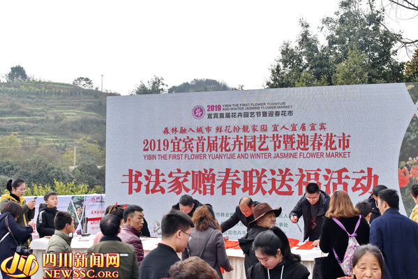 過宜賓年 看敘州花 2019宜賓首屆花卉園藝節開幕