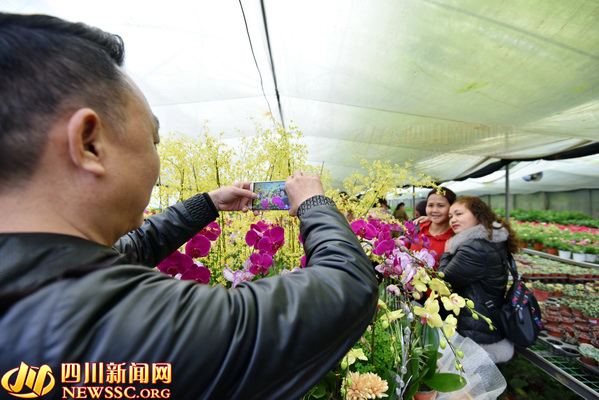 過宜賓年 看敘州花 2019宜賓首屆花卉園藝節開幕