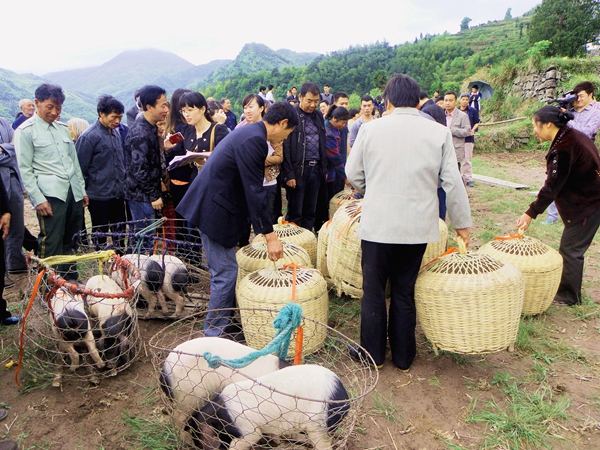堅決打贏十大攻堅戰｜民生實事攻堅篇 精準發力解民憂 全力攻堅惠民生