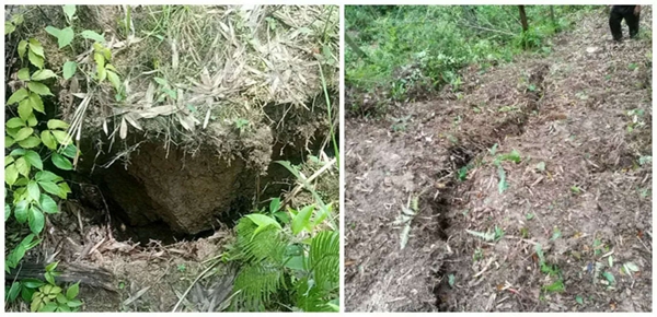 堅決打贏十大攻堅戰｜民生實事攻堅篇 精準發力解民憂 全力攻堅惠民生