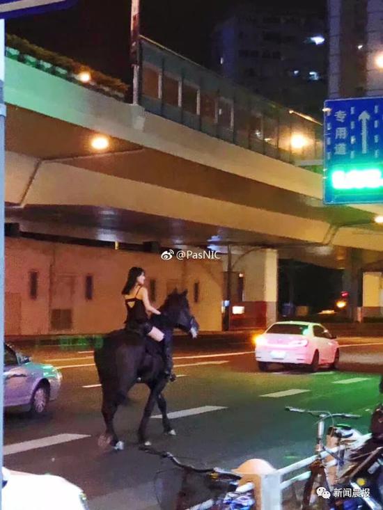 吊帶美女深夜上海鬧市騎馬 抖音疑似騎馬女已扒出