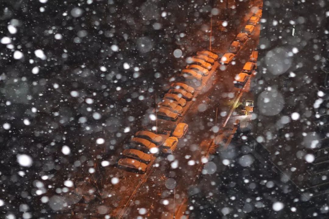 應急發布:雪怎么下?路管不管制?返程怎么走?