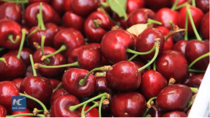 一顆賣6元,月薪上萬也吃不起車厘子?網友哭窮,這個小國卻笑著數錢