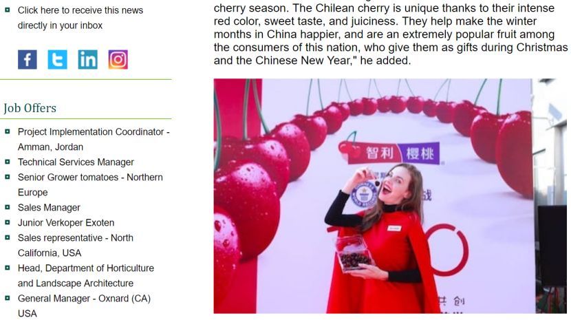 一顆賣6元,月薪上萬也吃不起車厘子?網友哭窮,這個小國卻笑著數錢