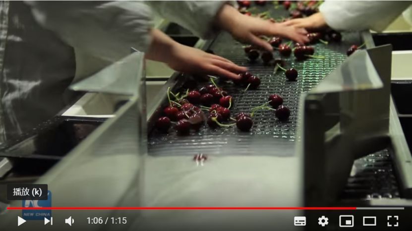 一顆賣6元,月薪上萬也吃不起車厘子?網友哭窮,這個小國卻笑著數錢