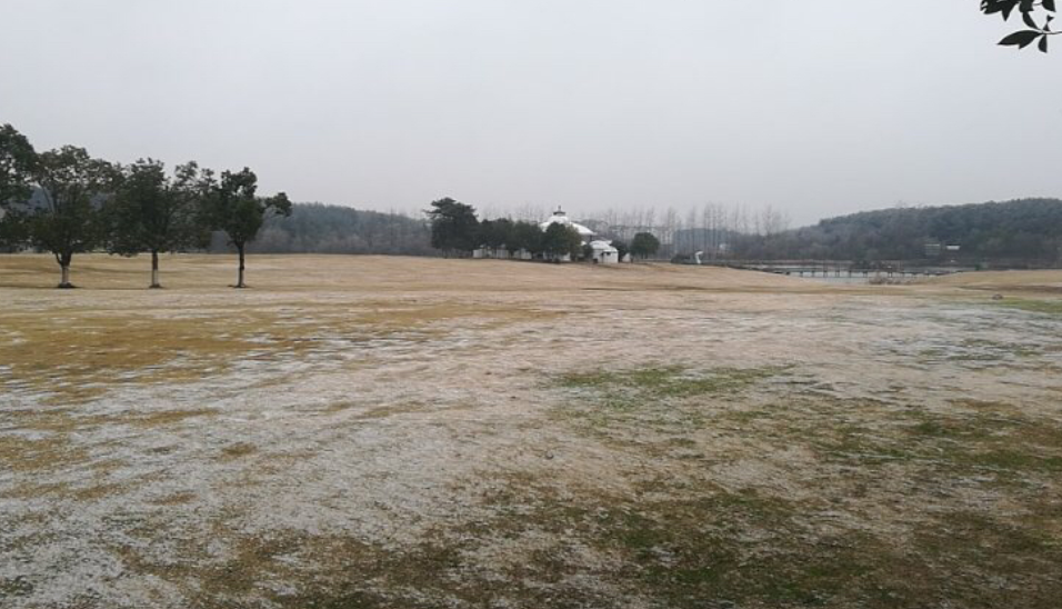 受極端天氣影響 ，黃陂部分景區暫時封園