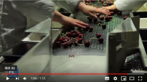 月薪上萬吃不起車厘子?網友哭窮 這個國家笑著數錢