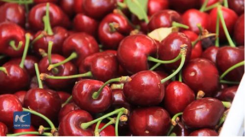 月薪上萬吃不起車厘子?網友哭窮 這個國家笑著數錢