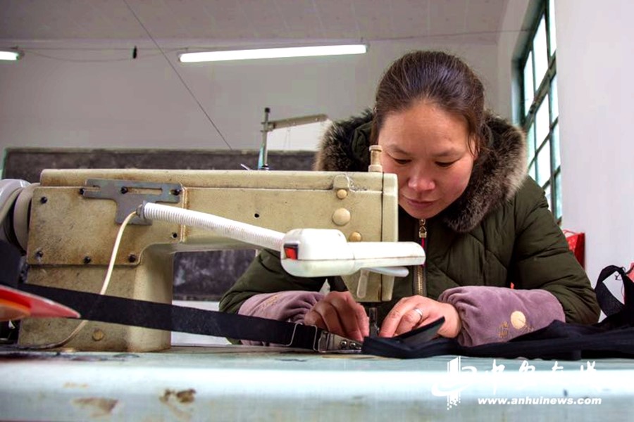 【新春走基層】蚌埠：產業扶貧促增收 村民走上致富路