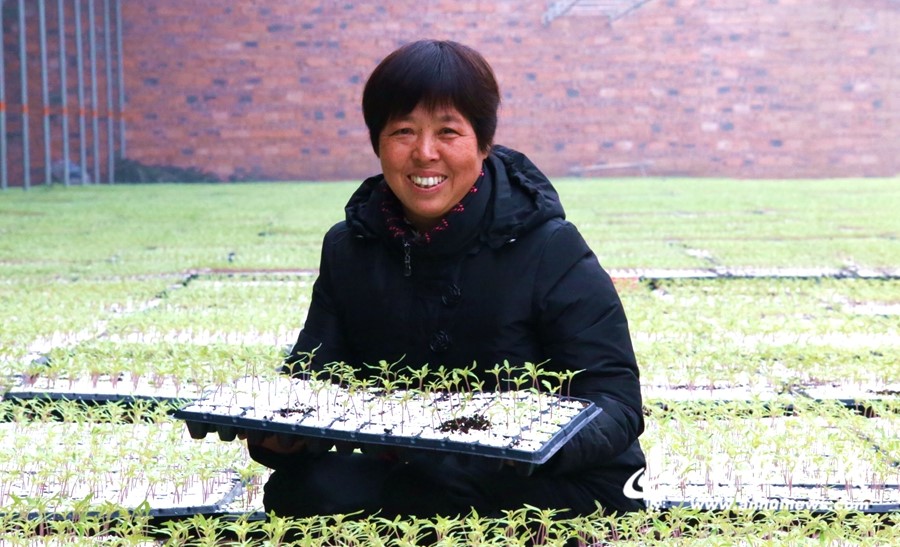 【新春走基層】蚌埠：產業扶貧促增收 村民走上致富路