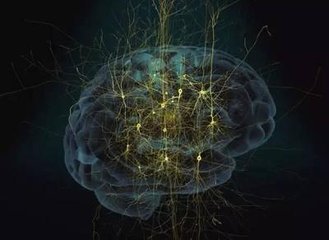 神經形態計算 新研究可以帶來更高能效的計算