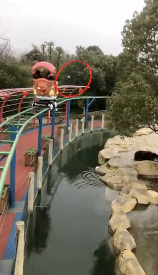 最貴投喂！游客誤將iPhone當蘋果投喂棕熊