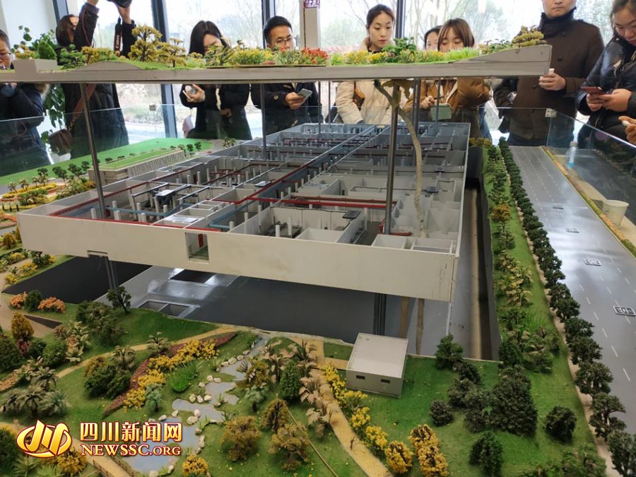 【新春走基層·春暖天府新區】興隆湖顯現“生態之腎” 公園城市特質初步呈現