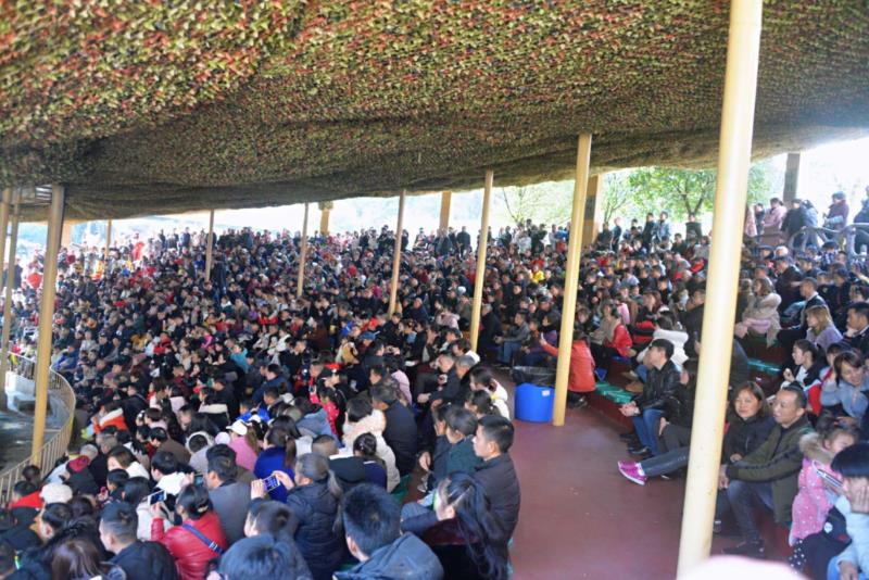 雨城區2019年春節假日旅游興盛迎來豬年