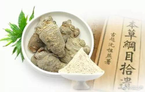 板藍根ISO國際標準發布，科研團隊揭秘中醫藥如何走出國門