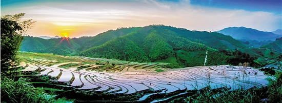 農民收入增幅連續10年居全省首位 解析麗水農民增收密碼