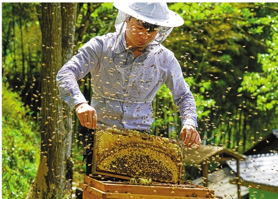 農民收入增幅連續10年居全省首位 解析麗水農民增收密碼