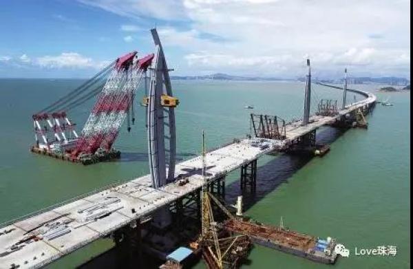 大批中華白海豚“亮相”港珠澳大橋、淇澳島海面